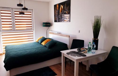 Zamosc Apartment | Fachpol Apartments Sienkiewicza 22D