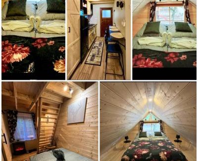 Bakonybel Apartment | Faház a fenyők alatt - Borostyánkút Wellness Home II Bakonybél