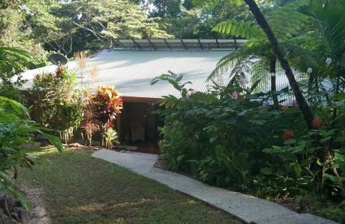 Cow Bay House | Fairy Falls - romantic Daintree Rainforest retreat with enchanting waterfall