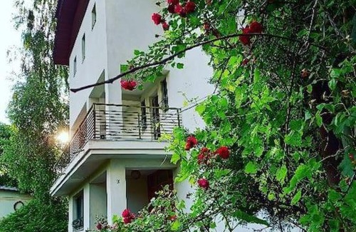 Branesti Villa | Fairy's Corner