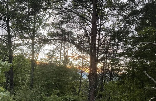 Louisa RV Rental | Fallsburg Frontier Campground Site #4