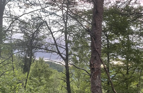 Louisa RV Rental | Fallsburg Frontier Campground Site #4