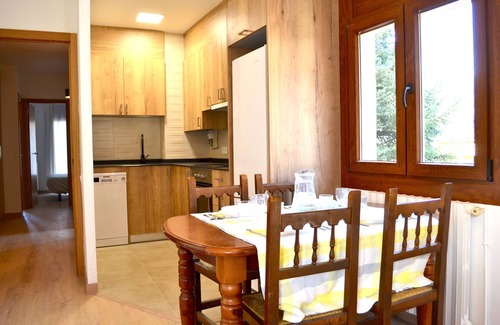 Esterri D'Aneu Apartment | Family and central apartment