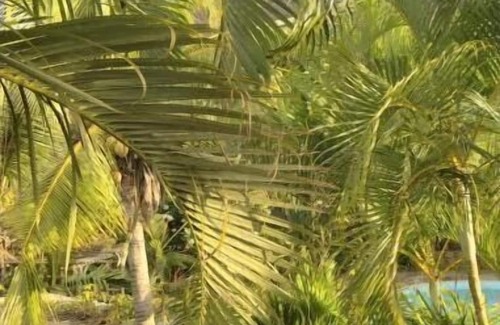 Tamarin House | Family home in Tamarin