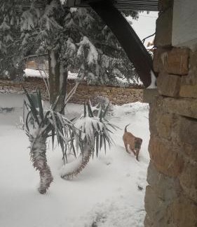 Arbanasi Hotel | Family hotel Elena