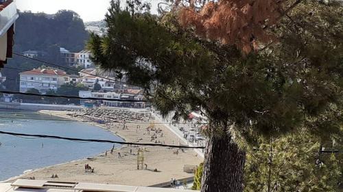 Rana Apartment | Family House Milic in Ulcinj