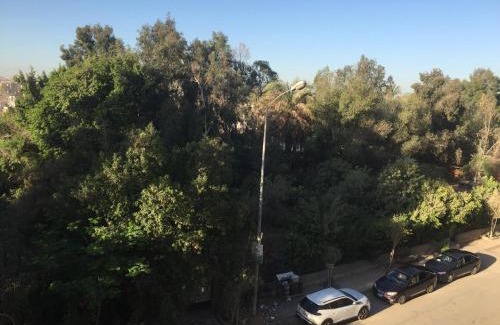 Al-Basatin Apartment | Family residence in the best location