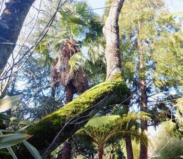 Feira Villa | Family Secrets Santo André