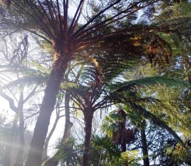 Feira Villa | Family Secrets Santo André