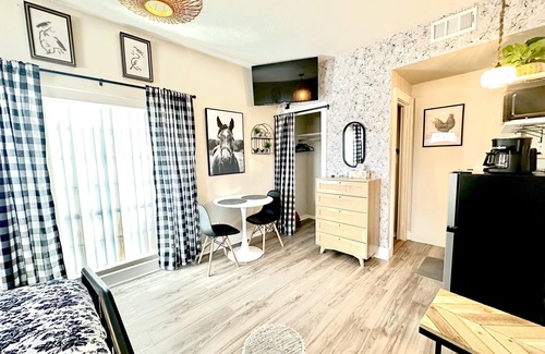 Travis Heights Apartment | Fancy Pants South Congress Studio