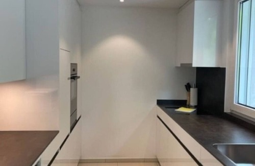 Fluntern Apartment | Fantastic 2 BD flat: quite, sunny, central (Duke1)