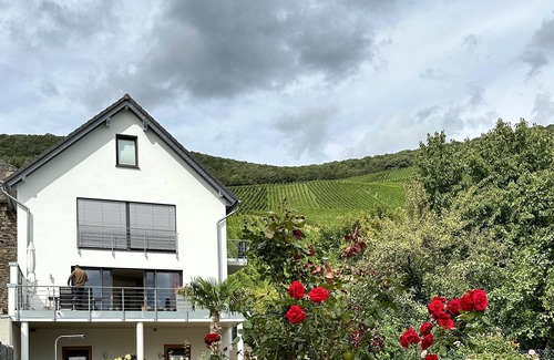 Piesport Apartment | Fantastic apartment directly on the Moselle, ground floor, large terrace, parking lot at the house.