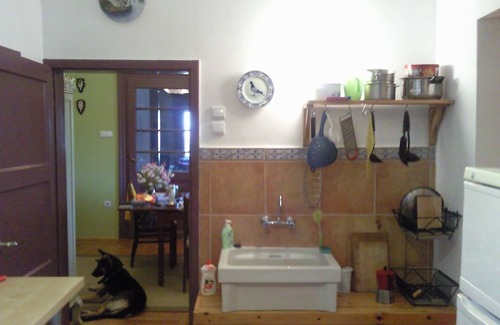 Csernely House | Fantastic family vacation home with ecological pool in the middle of nature.