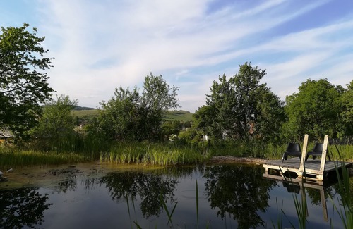 Csernely House | Fantastic family vacation home with ecological pool in the middle of nature.