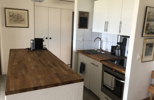 Gams Apartment | Fantastic mountain view, hillside location