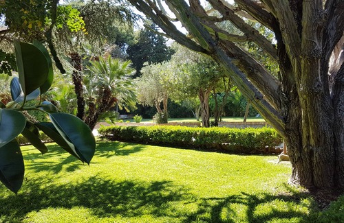 Partanna Villa | Fantastic pool surrounded by a 10,000 square meters of private garden