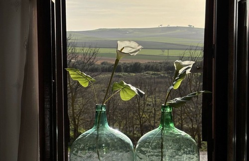 Villahoz House | Fantastic Rural House: 300m2, 7 double rooms (up to 18 guests), Garden1100m2