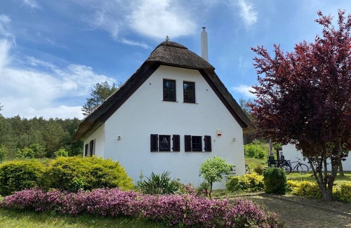 Wiselka House | Fantastic thatched house on the edge of the forest