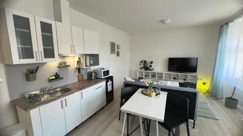 Libice nad Cidlinou House | Fara N°71 APART 1