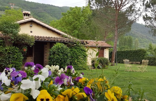Precetto Apartment | Farmhouse with pool and whirlpool for vacations in Umbria: "Appartamento Glicine"