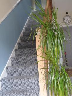 Cavan Bed & Breakfast | Farnham House