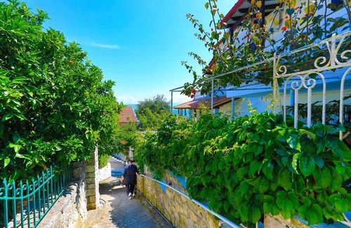 Gaios Apartment | Faros Exi in Gaios with 1 bedrooms and 1 bathrooms