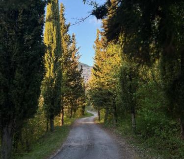 Pozzaglia Sabina House | Fattoria del Borgo in Sabina