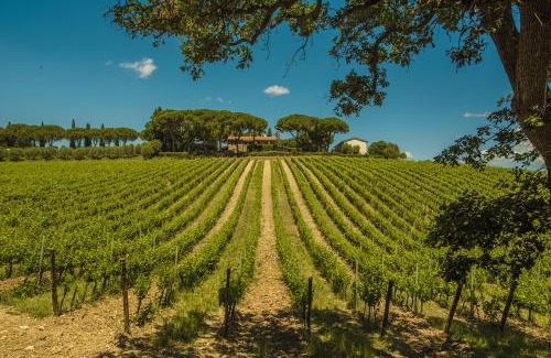 Magliano in Toscana House | Fattoria di Magliano Winery
