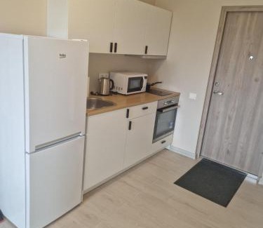 Plunge Apartment | FB Apartamentai