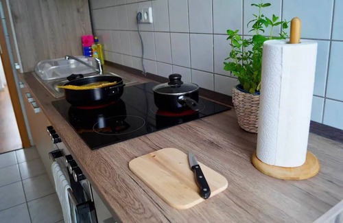 Dessau-Rosslau Apartment | Feel good in the Bauhaus city of Dessau with Netflix