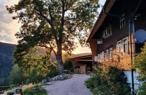 Triberg im Schwarzwald Apartment | Feißesberghof