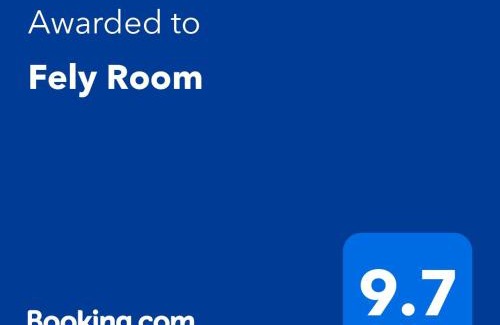 Petrosani Apartment | Fely Room