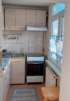 Petrosani Apartment | Fely Room