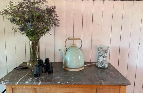 Cambridge Other | Fen Meadows