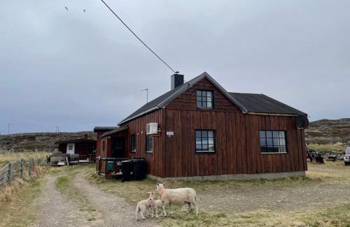Vads House | Feriehus i Salttjern