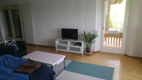 Ligerz Apartment | Ferien auf dem Weingut