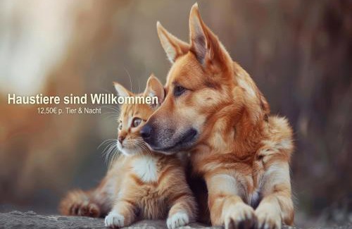 Sulzhayn Hotel | Ferien Hotel Villa Südharz