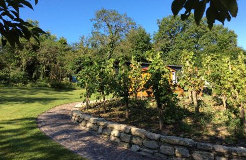 Wehlen House | Ferien-Wein-Gut Keifer