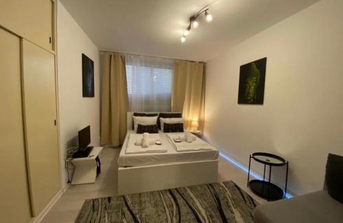 Rosenberg Apartment | Ferien Wohnung Stuttgart City