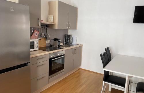Sankt Polten Apartment | Ferienapartment PASSAUER WOLF im Zentrum, klimatisiert