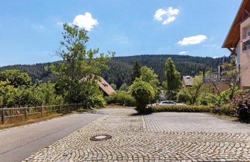 Tennenbronn Apartment | Ferienappartements Steige 3