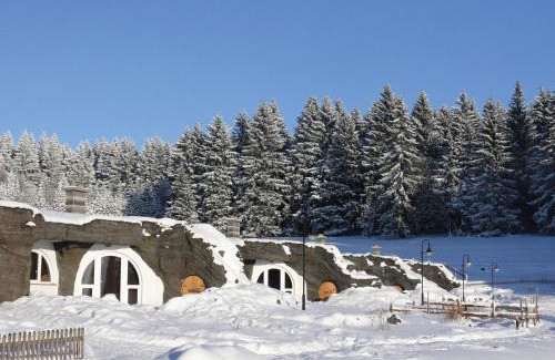 Eisfeld Apartment | Feriendorf Auenland