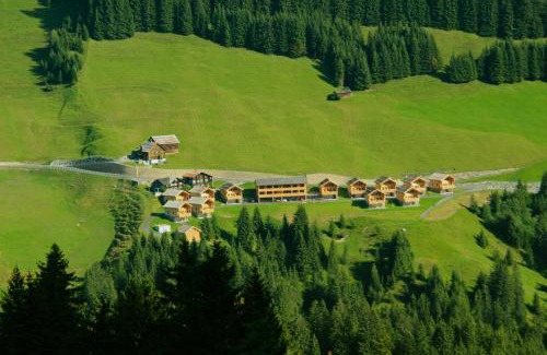 Damuels Apartment | Feriendorf Walserland
