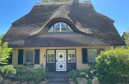 Dierhagen Dorf House | Ferienhäuser Küstenwaldvilla