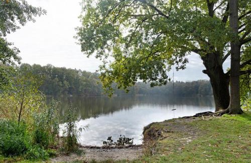 Lochow House | Ferienhäuser im Sternenpark am See
