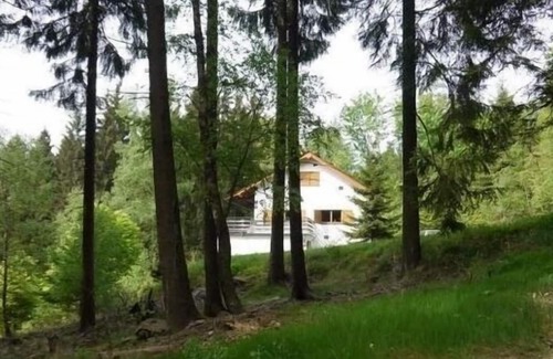 Bad Berleburg House | Ferienhaus für 6 Gäste mit 100m² in Bad Berleburg - Dotzlar