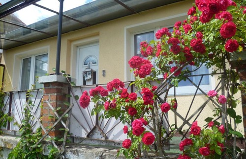 Mandelholz House | Ferienhaus 1