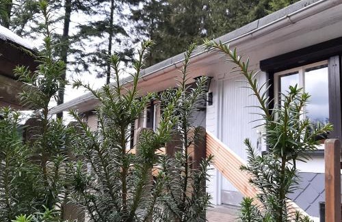 Frauenwald House | Ferienhaus Allzunah