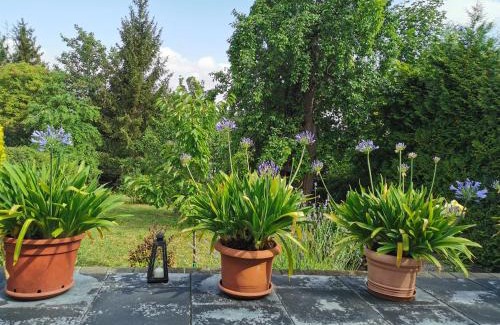 Wernigerode House | Ferienhaus Appold