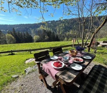 Falkau Ski Chalet | Ferienhaus Bruno - Chalet mit 2 Schlafzimmern